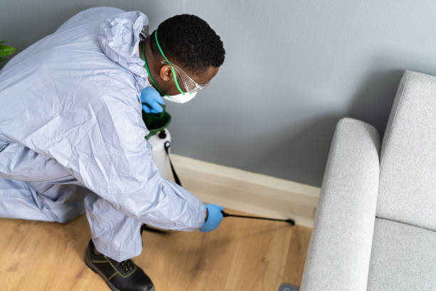 Best Residential Pest Control  in Veneta, OR